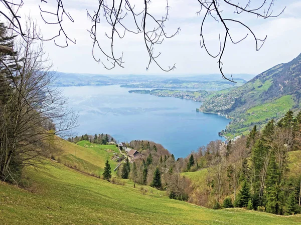View Lake Lucerne Vierwaldstaetersee Swiss Alps Background Vitznauerstock Peak Canton — Stock Photo, Image