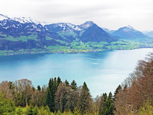 Vista Lago Lucerna Vierwaldstaetersee Dos Alpes Suíços Fundo Pico Vitznauerstock — Fotografia de Stock