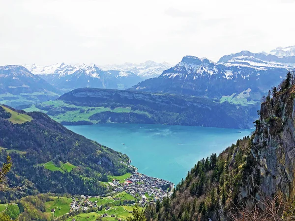 Vista Lago Lucerna Vierwaldstaetersee Com Assentamento Gersau Alpes Suíços Fundo — Fotografia de Stock