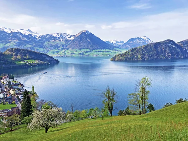 Beskåda Laken Lucerne Eller Vierwaldstaetersee Med Vitznau Bosättning Och Schweiziska — Stockfoto