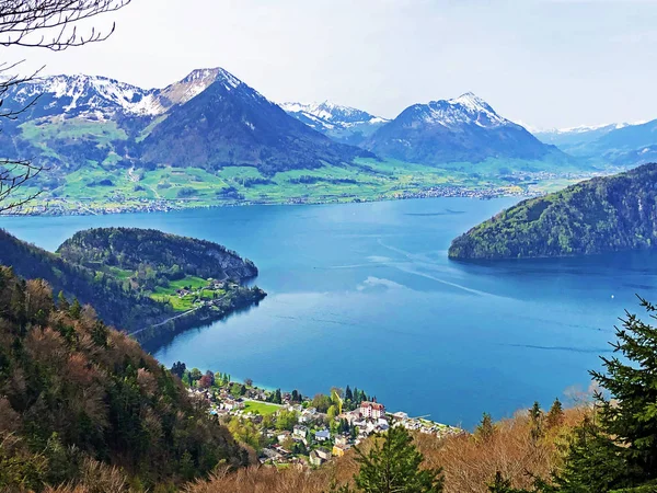 Arka Planda Vitznau Yerleşim Sviçre Alpleri Ile Lucerne Gölü Veya — Stok fotoğraf