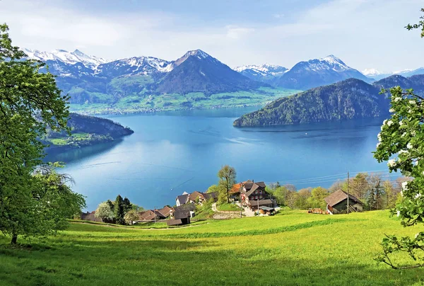 Beskåda Laken Lucerne Eller Vierwaldstaetersee Med Vitznau Bosättning Och Schweiziska — Stockfoto