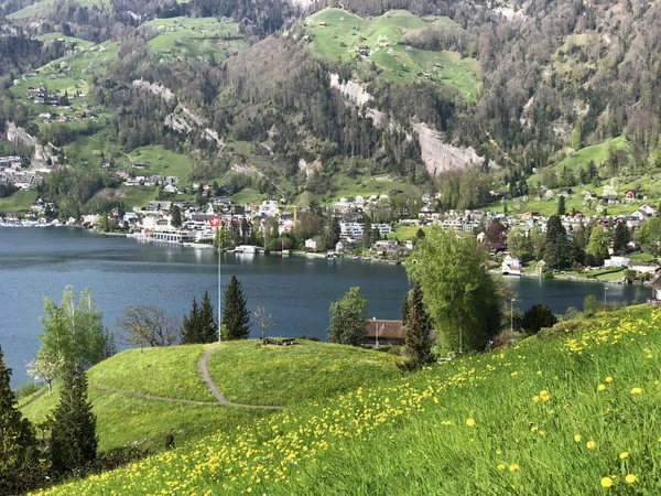 Veduta Dell Insediamento Vitznau Sulle Rive Del Lago Lucerna Vierwaldstaetersee — Foto Stock
