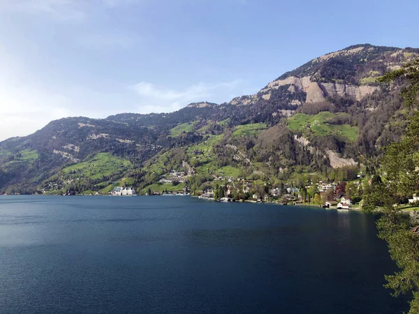 Pohled Osada Vitznaj Břehu Luzervského Jezera Nebo Vierwaldstagetersee Kantonu Lucern — Stock fotografie