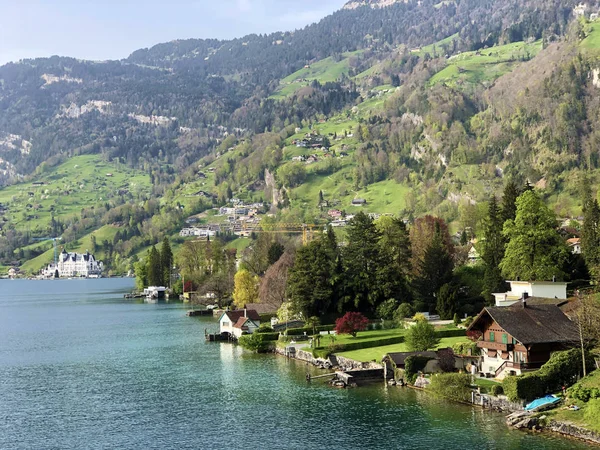 Veduta Dell Insediamento Vitznau Sulle Rive Del Lago Lucerna Vierwaldstaetersee — Foto Stock