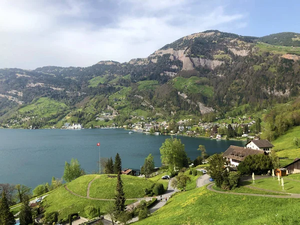 Veduta Dell Insediamento Vitznau Sulle Rive Del Lago Lucerna Vierwaldstaetersee — Foto Stock