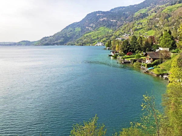 Vista Del Asentamiento Vitznau Orilla Del Lago Lucerna Vierwaldstaetersee Cantón —  Fotos de Stock