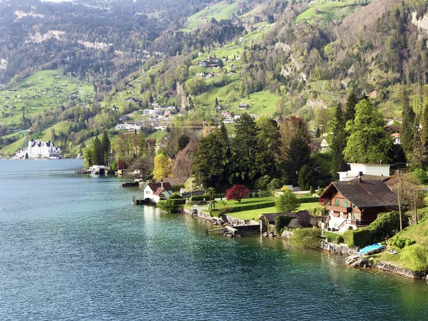 Veduta Dell Insediamento Vitznau Sulle Rive Del Lago Lucerna Vierwaldstaetersee — Foto Stock