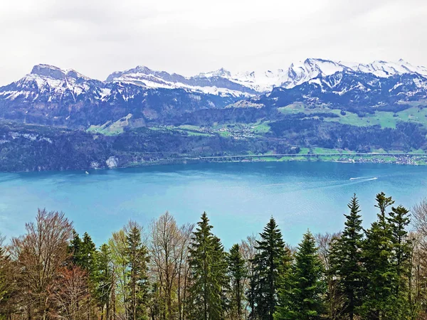 Θέα Στη Λίμνη Της Λουκέρνη Στις Ελβετικές Άλπεις Στο Παρασκήνιο — Φωτογραφία Αρχείου