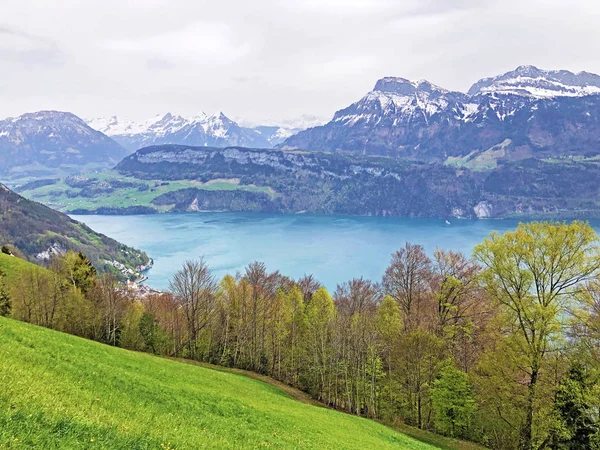 Vista Lago Lucerna Vierwaldstaetersee Dos Alpes Suíços Fundo Pico Gersauerstock — Fotografia de Stock