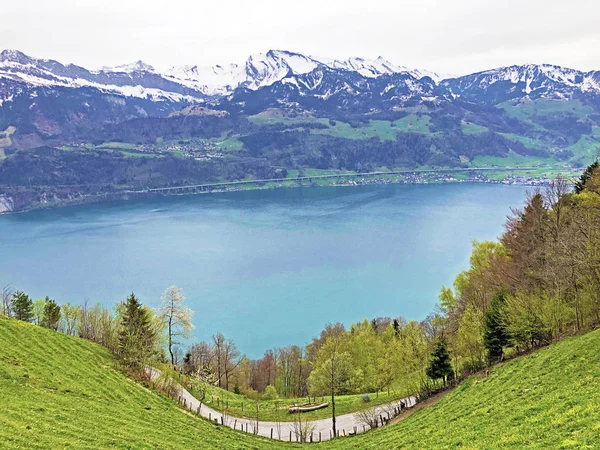 ゲルザウアーストック山頂から背景にあるルツェルン湖またはヴィエルヴァルトシュテーテルゼーとスイスアルプスの眺め シュヴィーツ州 スイス — ストック写真