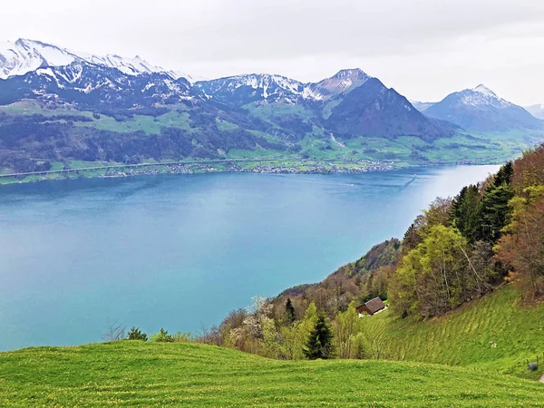 ゲルザウアーストック山頂から背景にあるルツェルン湖またはヴィエルヴァルトシュテーテルゼーとスイスアルプスの眺め シュヴィーツ州 スイス — ストック写真