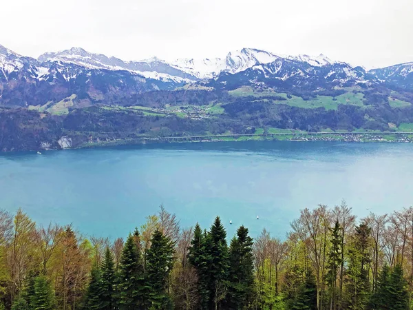 ゲルザウアーストック山頂から背景にあるルツェルン湖またはヴィエルヴァルトシュテーテルゼーとスイスアルプスの眺め シュヴィーツ州 スイス — ストック写真
