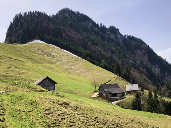 ヴィッツナウアーストック山頂の斜面にある古い伝統的な建築と農家 ルツェルン州 スイス — ストック写真
