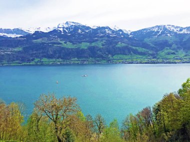 Vitznauerstock zirvesinden arka planda Lucerne Gölü veya Vierwaldstaetersee ve İsviçre Alpleri manzarası - Lucerne Kantonu, İsviçre