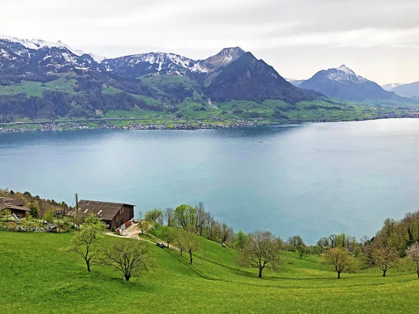 Blick Vom Vitznauerstock Auf Den Vierwaldstättersee Und Die Schweizer Alpen — Stockfoto