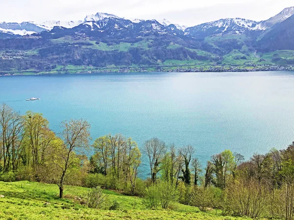 View Lake Lucerne Vierwaldstaetersee Swiss Alps Background Vitznauerstock Peak Canton — Stock Photo, Image