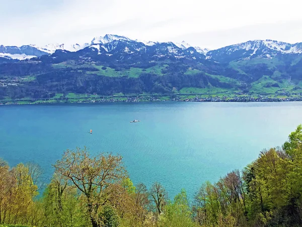 Vista Lago Lucerna Vierwaldstaetersee Dos Alpes Suíços Fundo Pico Vitznauerstock — Fotografia de Stock