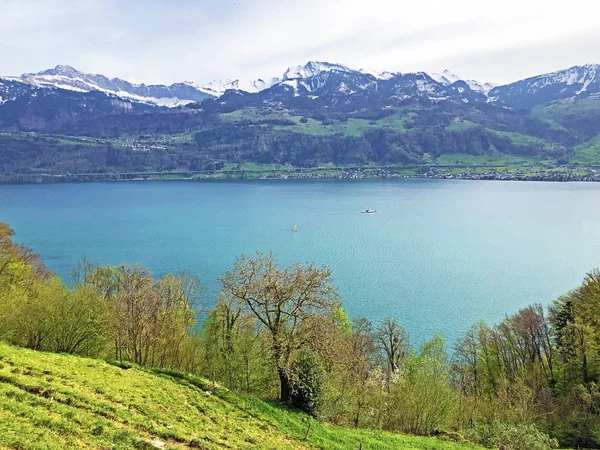 ヴィッツナウアーストック山頂から背景にあるルツェルン湖またはヴィエルヴァルトシュテーテルゼーとスイスアルプスの眺め ルツェルン州 スイス — ストック写真