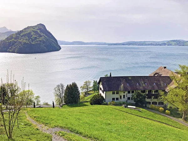 Vue Lac Des Quatre Cantons Vierwaldstaetersee Des Alpes Suisses Arrière — Photo