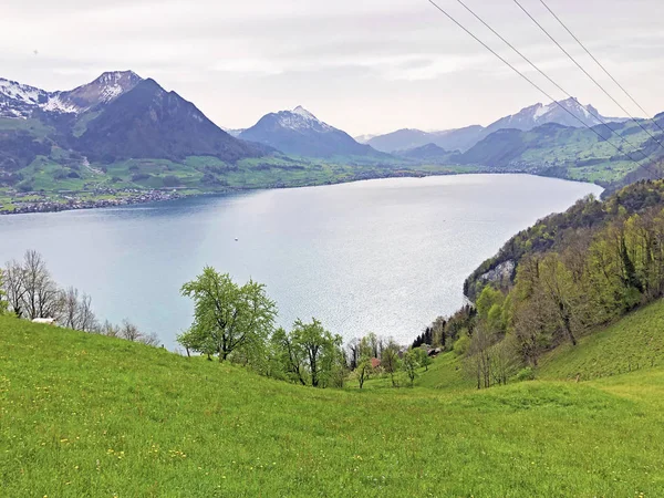 Vue Lac Des Quatre Cantons Vierwaldstaetersee Des Alpes Suisses Arrière — Photo