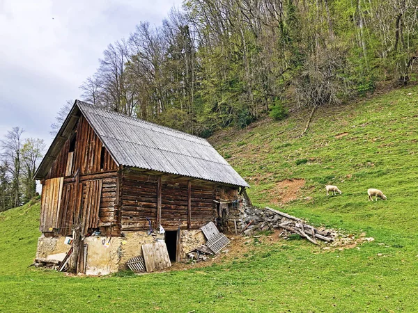 Oude Traditionele Architectuur Boerderij Hellingen Van Gersauerstock Peak Kanton Schwyz — Stockfoto