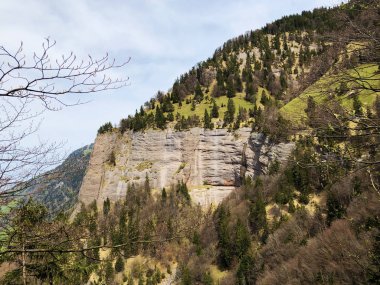 Vitznauerstock veya Gersauerstock (dağ Rigi) zirvesinin taşları ve kayaları - Luzerne ve Schwyz Kantonları, İsviçre