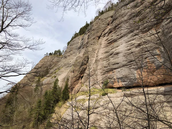 Piedras Rocas Del Pico Vitznauerstock Gersauerstock Montaña Rigi Cantones Luzerne — Foto de Stock