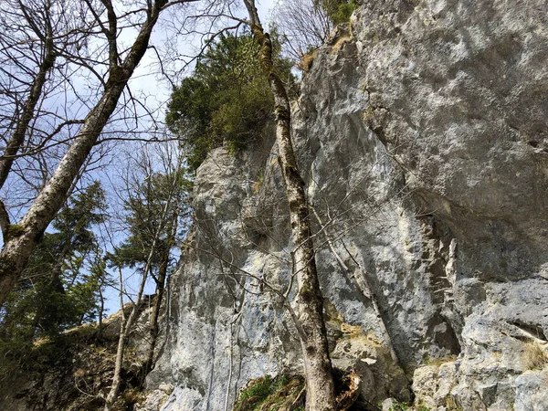 Πέτρες Και Βράχοι Της Κορυφής Vitznauerstock Γερακίροστοκ Βουνό Rigi Καντόνια — Φωτογραφία Αρχείου