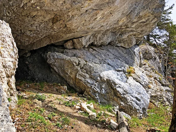 Stenar Och Vaggar Toppen Vitznauerstock Eller Gersauerstock Berg Rigi Cantons — Stockfoto