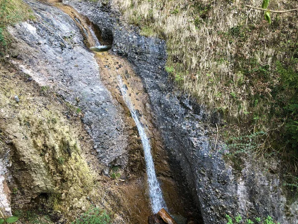 Seizoensgebonden Waterval Van Altdorfbach Stroom Hellingen Van Vitznauerstock Peak Rigi — Stockfoto