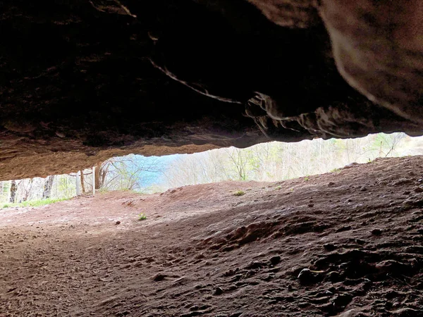 Σπήλαιο Του Στεγκελέλφαντζ Μελισσόχορτο Στο Βουνό Rigi Καντόνι Του Λουζέρν — Φωτογραφία Αρχείου