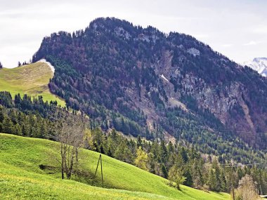 Rigi Dağı'ndaki Gersauerstock veya Vitznauerstock zirvesinin ormanlık dağ zirvesi - Lucerne ve Schwyz Kantonları, İsviçre