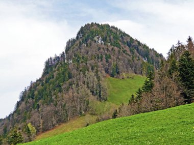 Rigi Dağı'ndaki Gersauerstock veya Vitznauerstock zirvesinin ormanlık dağ zirvesi - Lucerne ve Schwyz Kantonları, İsviçre