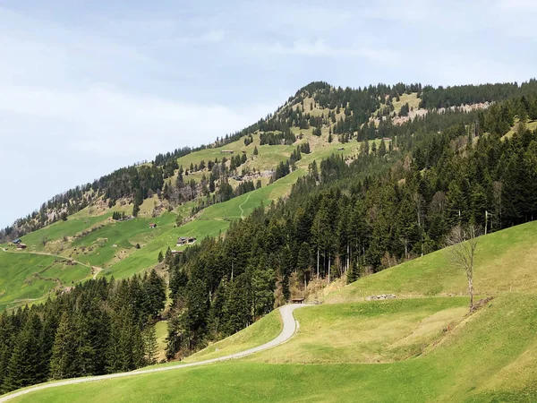 Pohled Jehličnaté Lesy Pastviny Svazích Pohoří Rigi Kantonu Lucern Švýcarsko — Stock fotografie