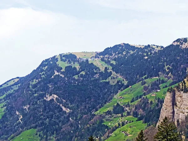 リギ山の斜面の小名の森林や牧草地の眺め ルツェルン州 スイス — ストック写真