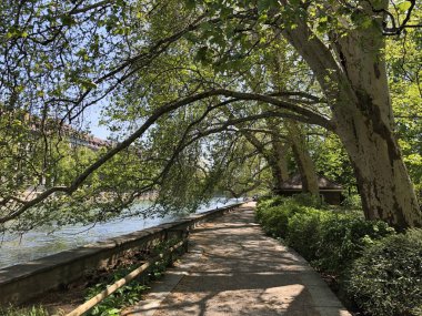 Platzspitz - Zürih, İsviçre şehrinde çalkantılı bir geçmişe sahip Park