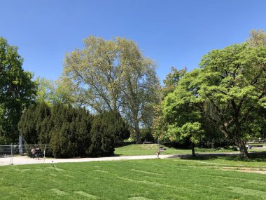 Platzspitz - Zürih, İsviçre şehrinde çalkantılı bir geçmişe sahip Park