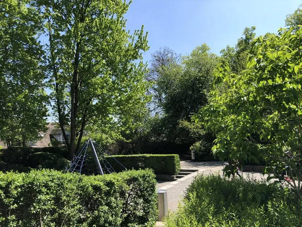 Lindenhof Geschichtsträchtige Oase Herzen Der Stadt Zürich Schweiz — Stockfoto