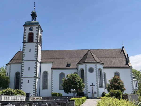 울리히 대성당 울리히 대성당 크로이즐링겐 가톨릭 투르가우 스위스 — 스톡 사진