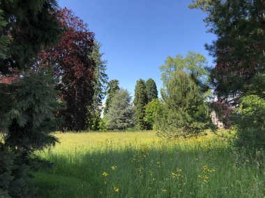 Park ve Botanik Bahçesi Seeburgpark Kreuzlingen - Thurgau Canton, İsviçre
