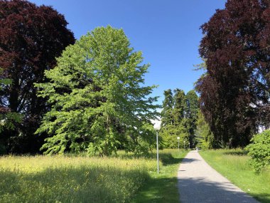 Park ve Botanik Bahçesi Seeburgpark Kreuzlingen - Thurgau Canton, İsviçre