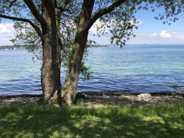 Kreuzlingen'deki Constance Gölü veya Bodensee - Thurgau Kantonu, İsviçre