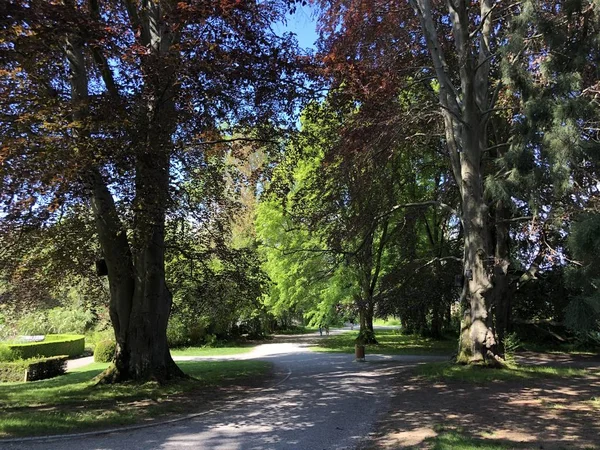 Park Och Arboretum Seeburgpark Kreuzlingen Canton Thurgau Schweiz — Stockfoto