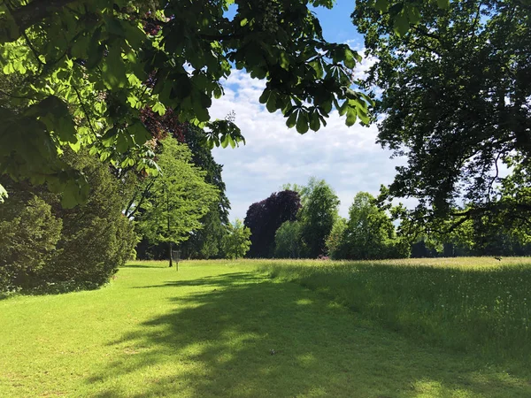 Park Och Arboretum Seeburgpark Kreuzlingen Canton Thurgau Schweiz — Stockfoto