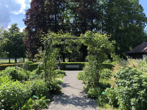 Parque Arboreto Seeburgpark Kreuzlingen Cantón Thurgau Suiza — Foto de Stock