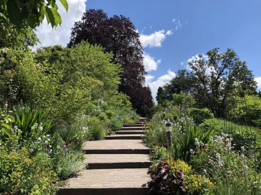 Zürih Üniversitesi Botanik Bahçesi veya Botanik Bahçesi Garten der Universitaet Zuerich, İsviçre