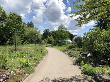 Zürih Üniversitesi Botanik Bahçesi veya Botanik Bahçesi Garten der Universitaet Zuerich, İsviçre