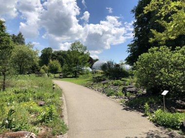 Zürih Üniversitesi Botanik Bahçesi veya Botanik Bahçesi Garten der Universitaet Zuerich, İsviçre
