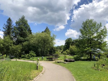 Zürih Üniversitesi Botanik Bahçesi veya Botanik Bahçesi Garten der Universitaet Zuerich, İsviçre